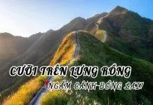 10 phim ngôn tình ngọt sủng Trung Quốc 2023 hay, đáng xem nhất