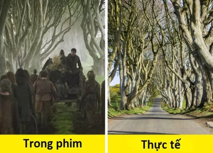 9 địa điểm mang tính biểu tượng của những bộ phim nổi tiếng mà bạn có thể ghé thăm ngoài đời thực