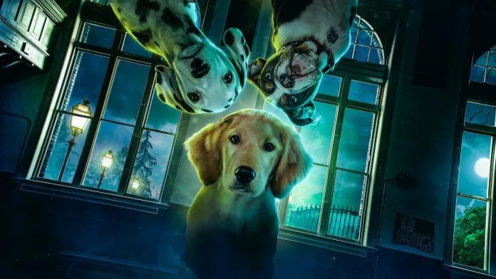 Điểm danh 6 phim Halloween trên Netflix năm 2022