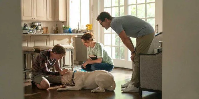 Dog Gone: Câu chuyện có thật đằng sau bộ phim mới nhất của Netflix sẽ khiến bạn rơi nước mắt