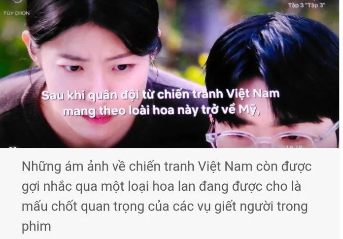 Netizen Hàn Quốc nói gì khi phim Little Women xuyên tạc lịch sử Việt Nam?