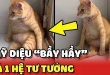 Review Cảnh Đẹp Ngày Vui Biết Bao Giờ: Có ngược có ngọt nhưng rất nhạt