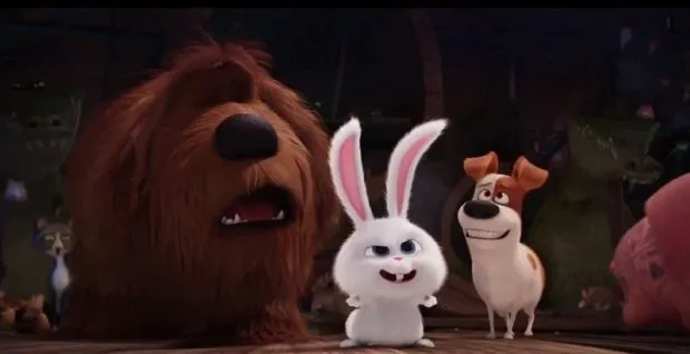 The secret life of pets – sự “nổi dậy” của thú cưng ?